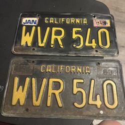 BLACK /YELLOW PLATES