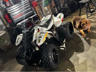 🔥 Polaris Predator 50cc – Runs Great, Ready to Ride! 🔥