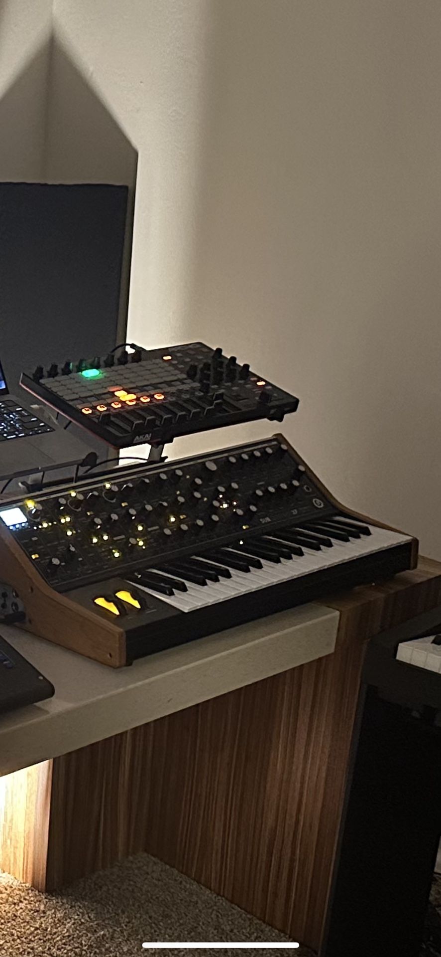 Moog subsequent 37