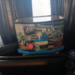 Top 10 Fish Aquarium 40 Gallon Has Everything That Needs To Start Having Fish Right Away It's A Complete Package Great For A First-time Fish Owner