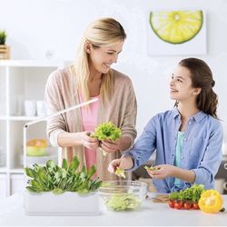 Plant Grow Light