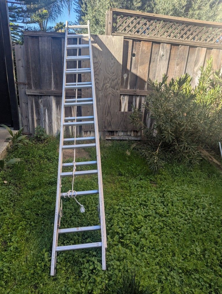 24 Ft Ladder For Sale