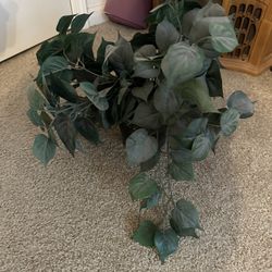 Faux Plant