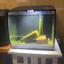 Aquarium