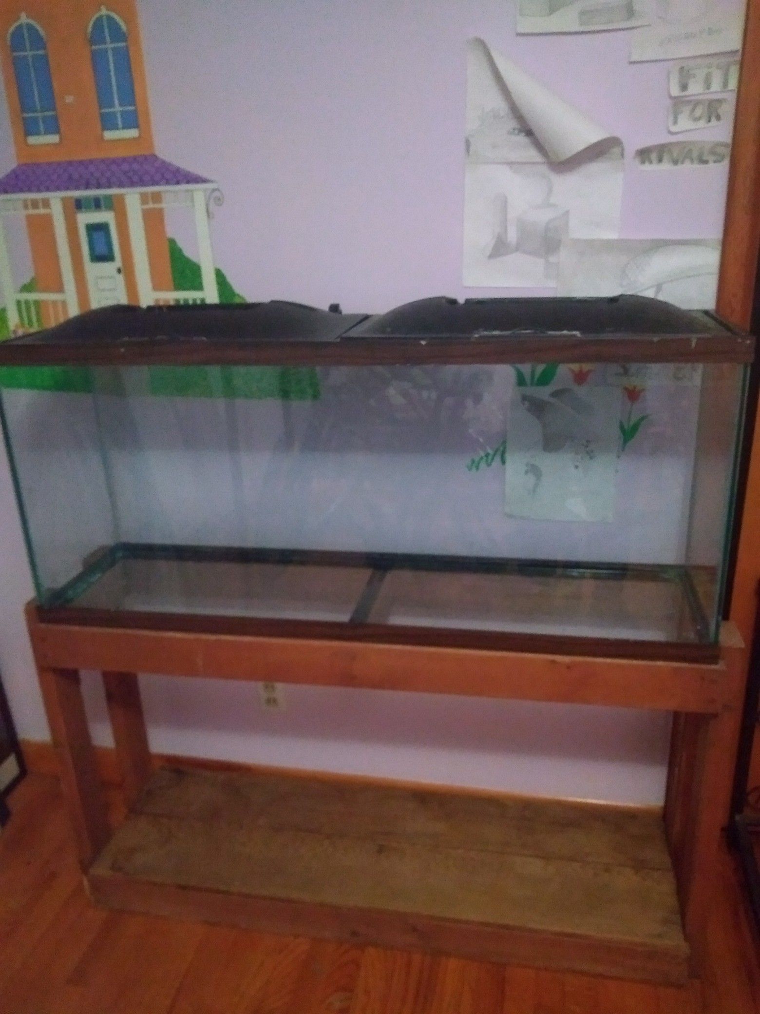 55 gallon tank with stand