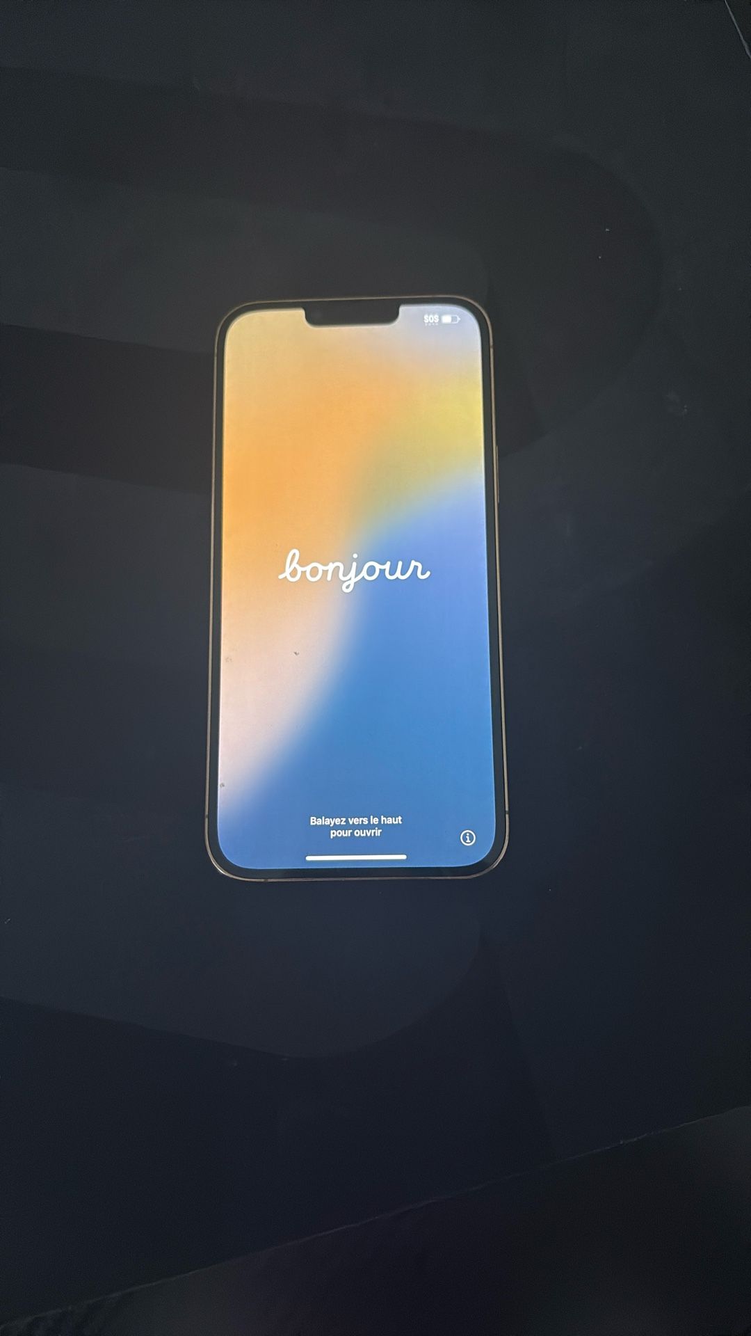 iphone 13 pro max almost new