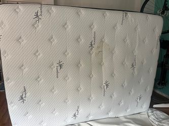 Free mattress