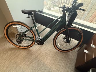 Trek FX +1 Throttle E-Bike