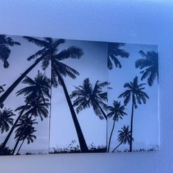3 Palm Tree Wall Signs
