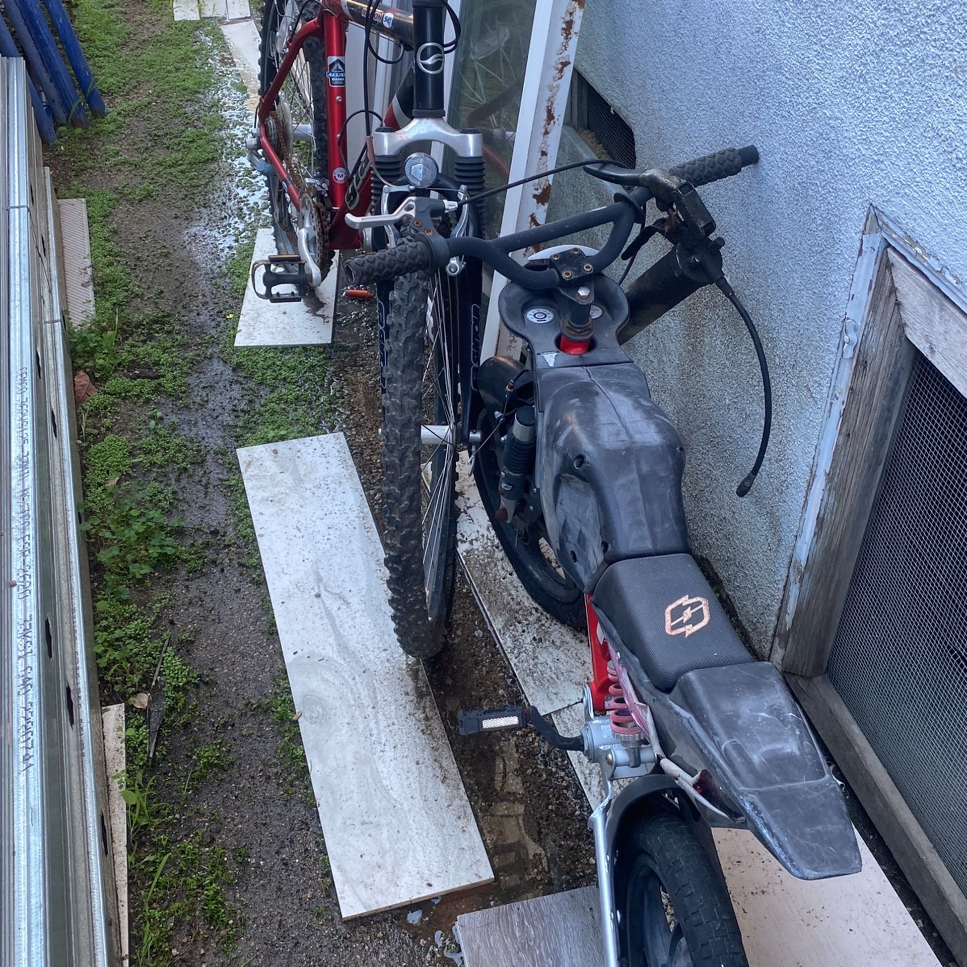 Bicycle For Adult And Kid,