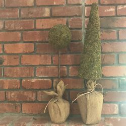2 pottery barn topiary trees