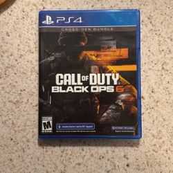 Call Of Duty Black Ops 6 (PS4)