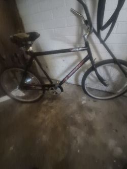 Beach cruiser