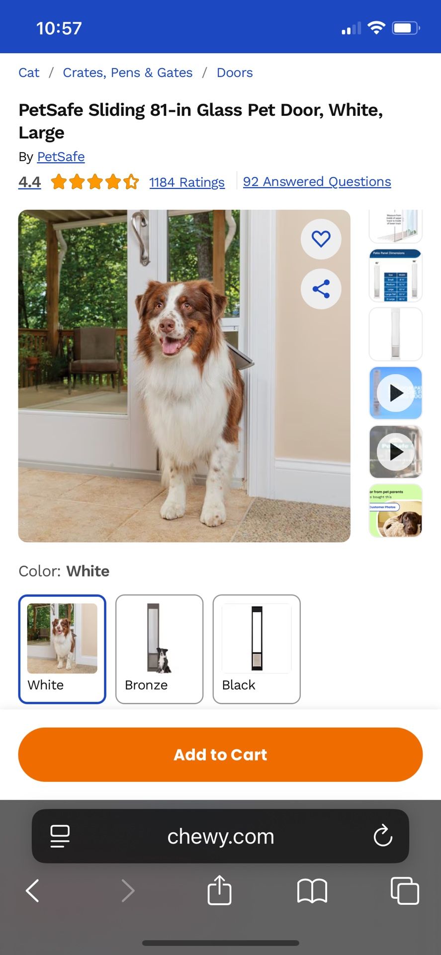 Petsafe Doggy Door