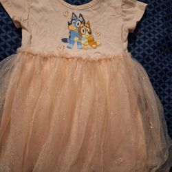 Light Pink Bluey  Dress