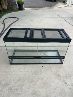 Glass Reptile Terrarium with Screen Lid