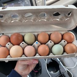 Eggs