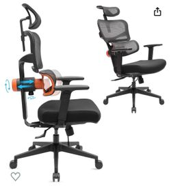 Newtral Ergonomic Lumbar Support Adjustable Chair
