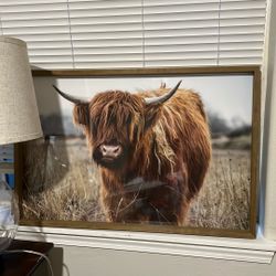 Highland Cow Frame 