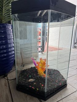 Acuario