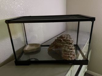 10 Gallon Aquarium Kit