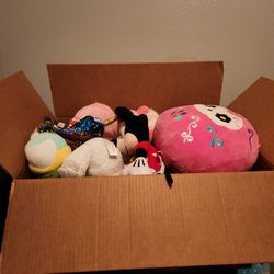 Box Full Of Random Plushies
