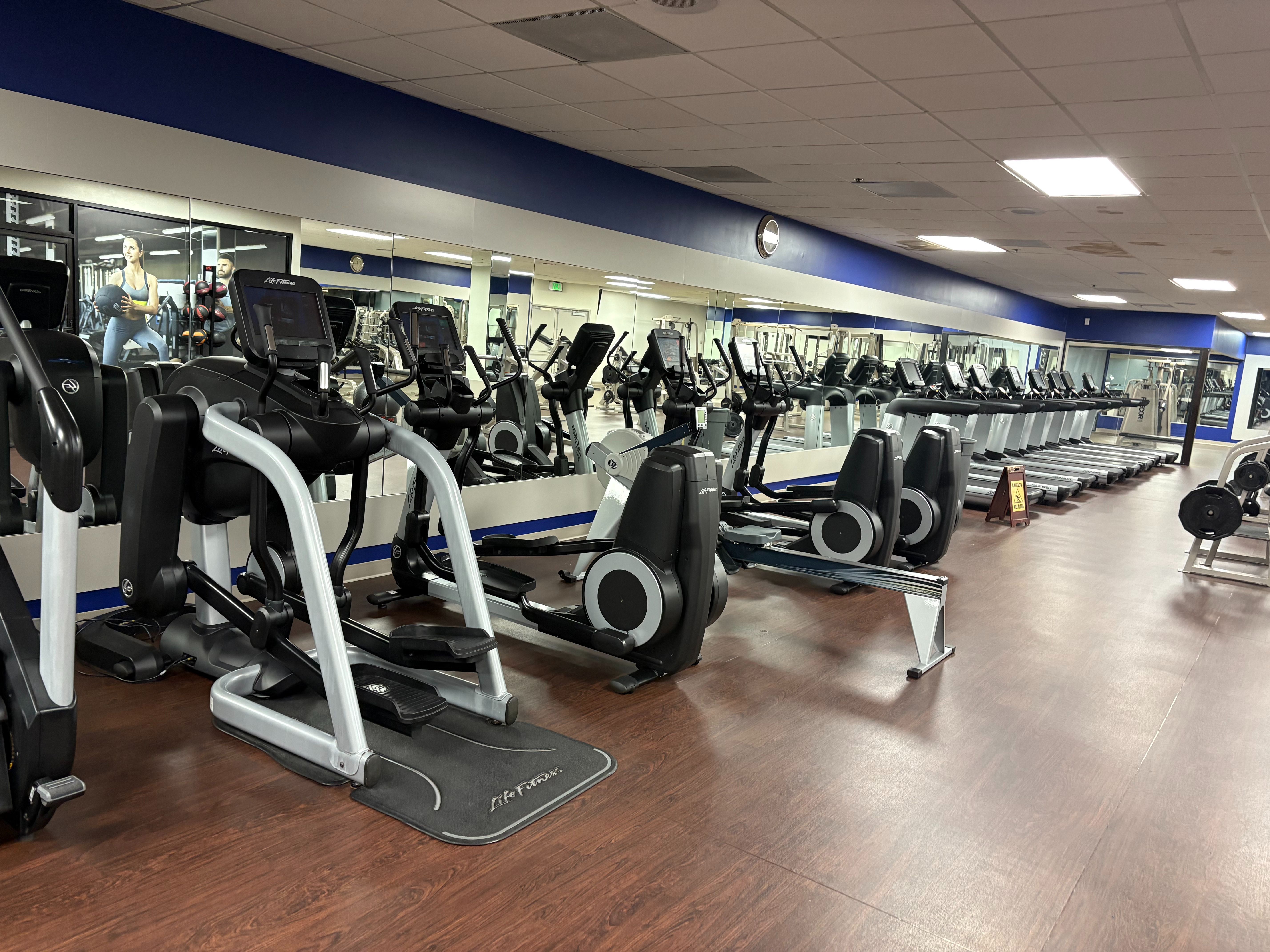 Life Fitness Flex Strider