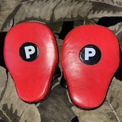 Pro Boxing Mitt Pads