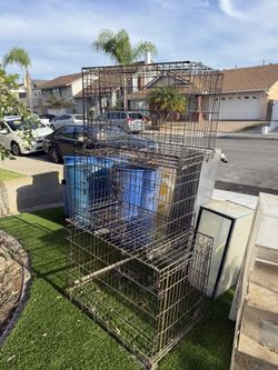 dog crates