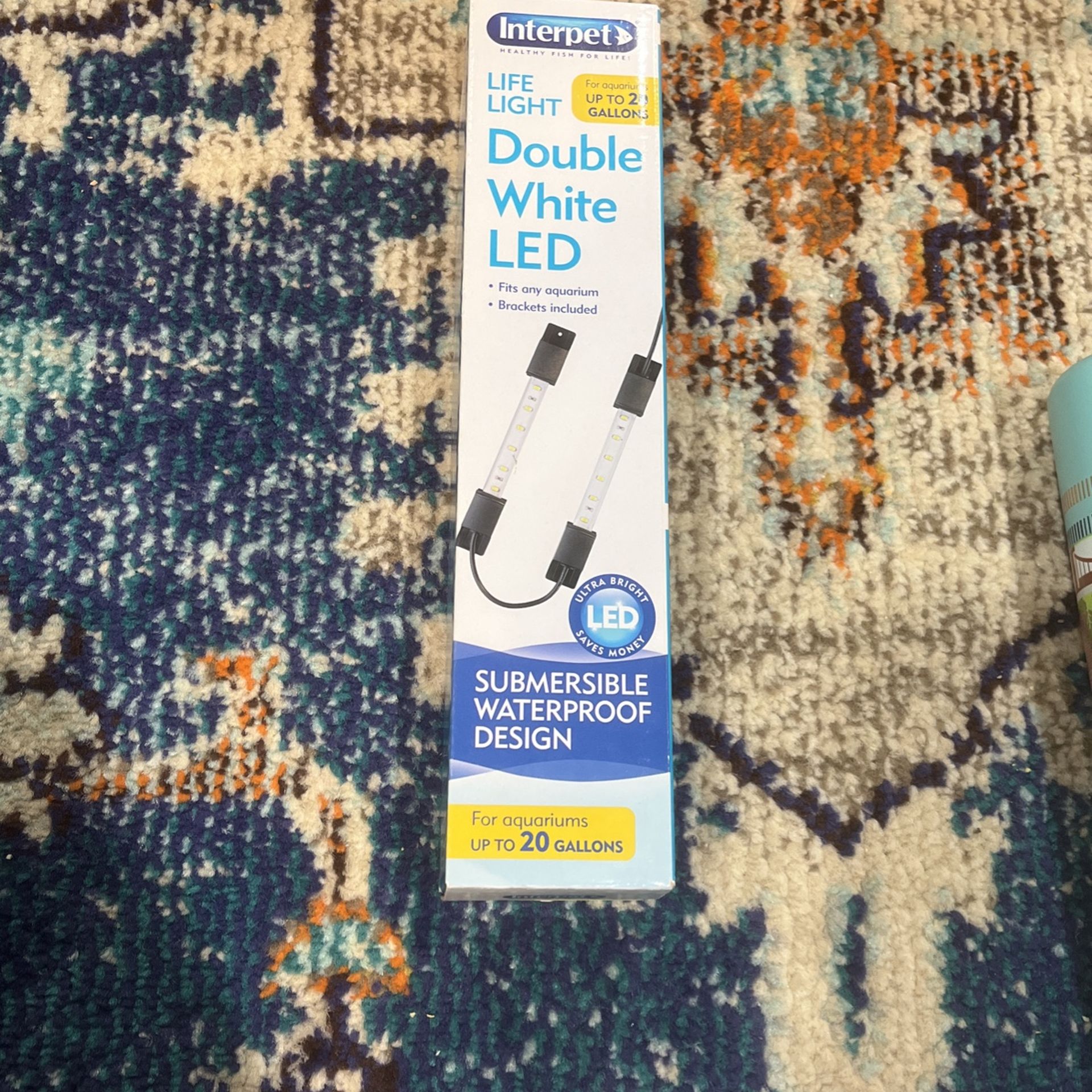 Interpersonal Double White Led