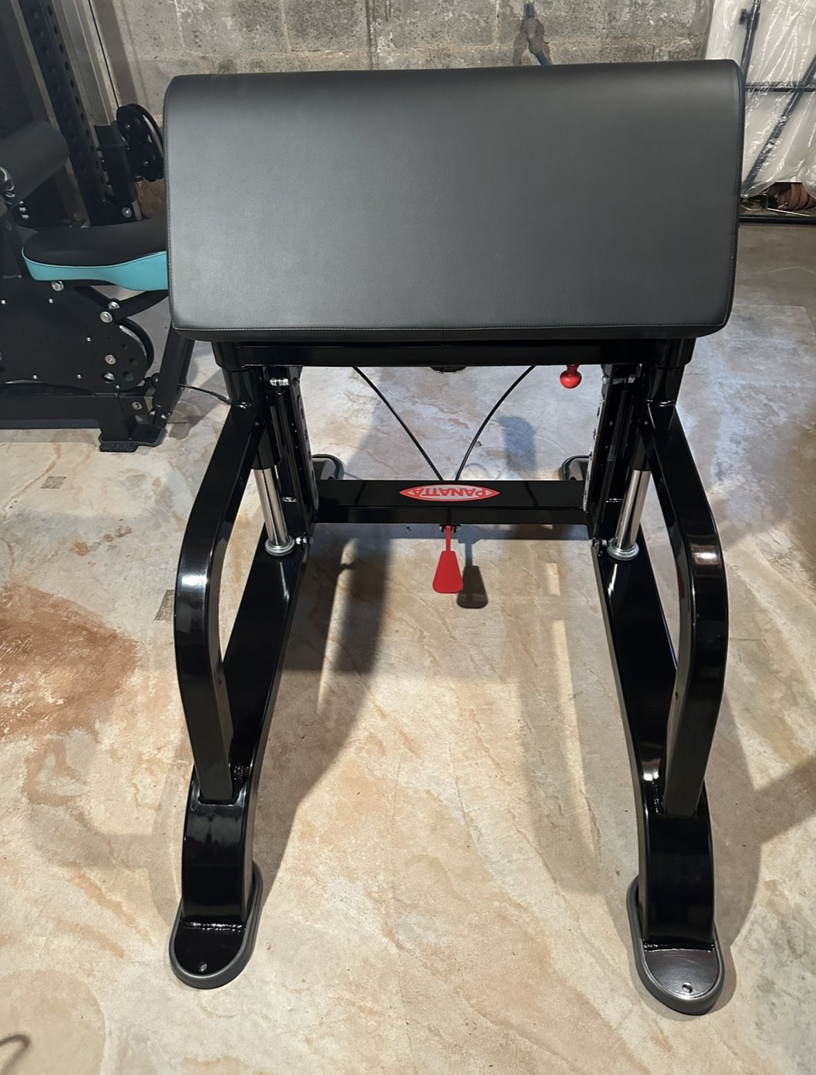 Panatta Adjustable Preacher Curl