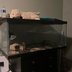50 Gallon Tank