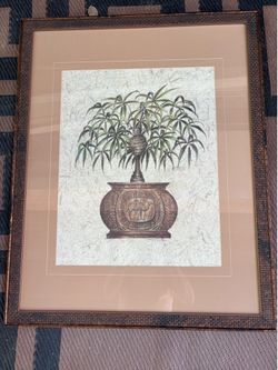 Beautiful plant tree picture