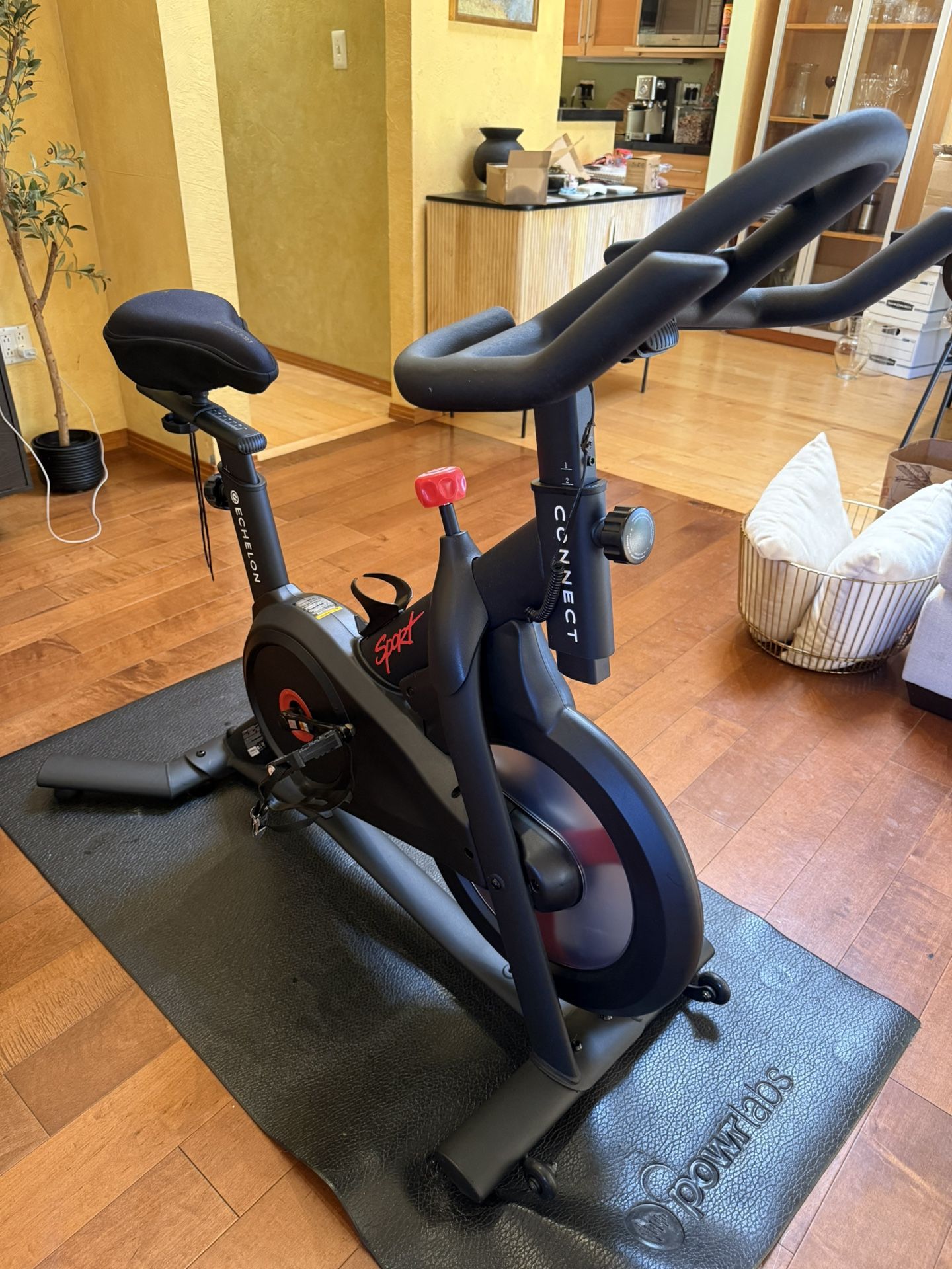 New Exercise Bike!!!