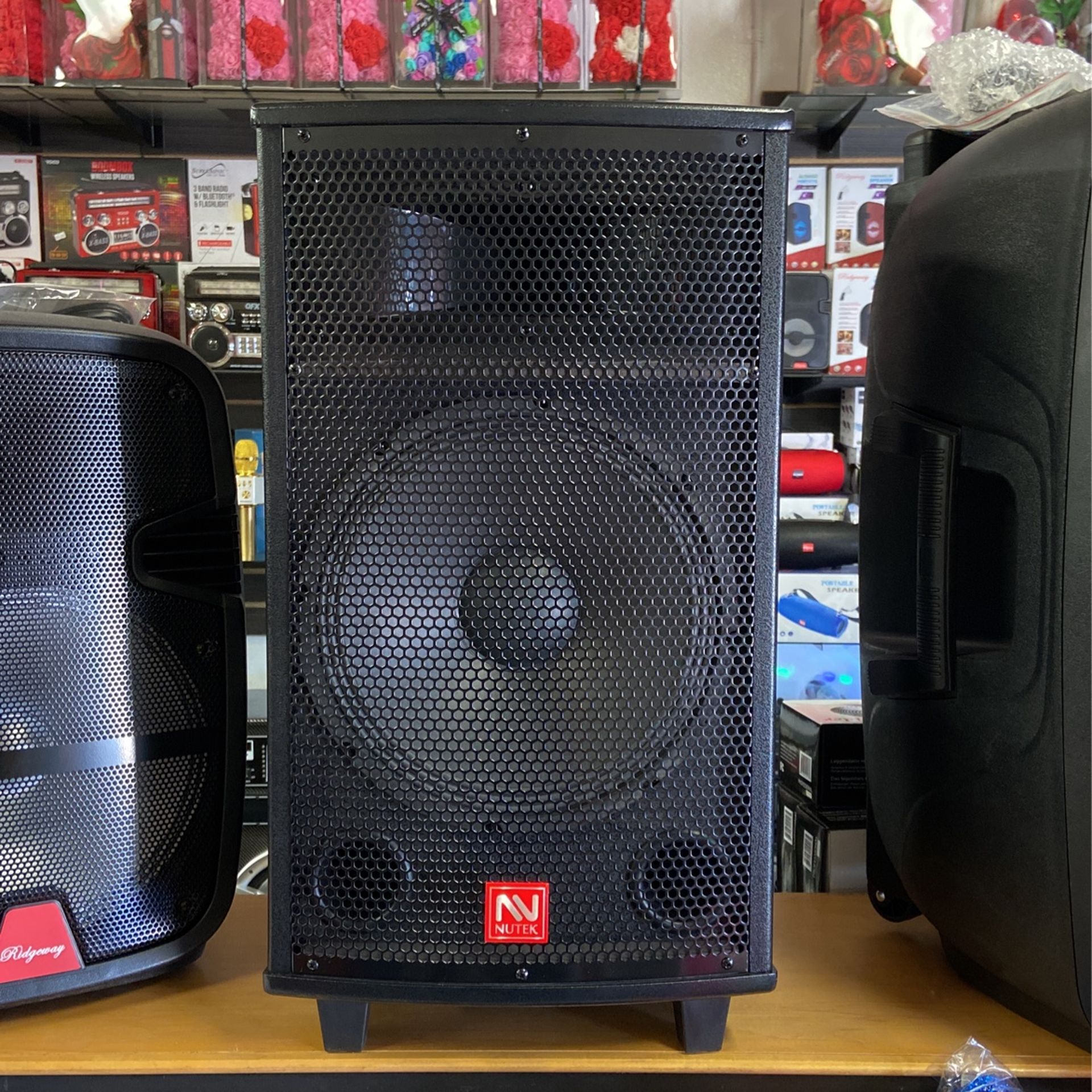 12” BLUETOOTH RECHARGEABLE SPEAKER