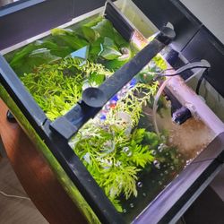 Aquarium
