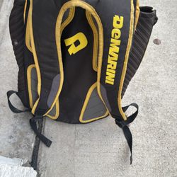 Baseball Bag