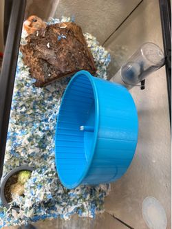 Hamster Cage