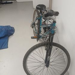Bicycle