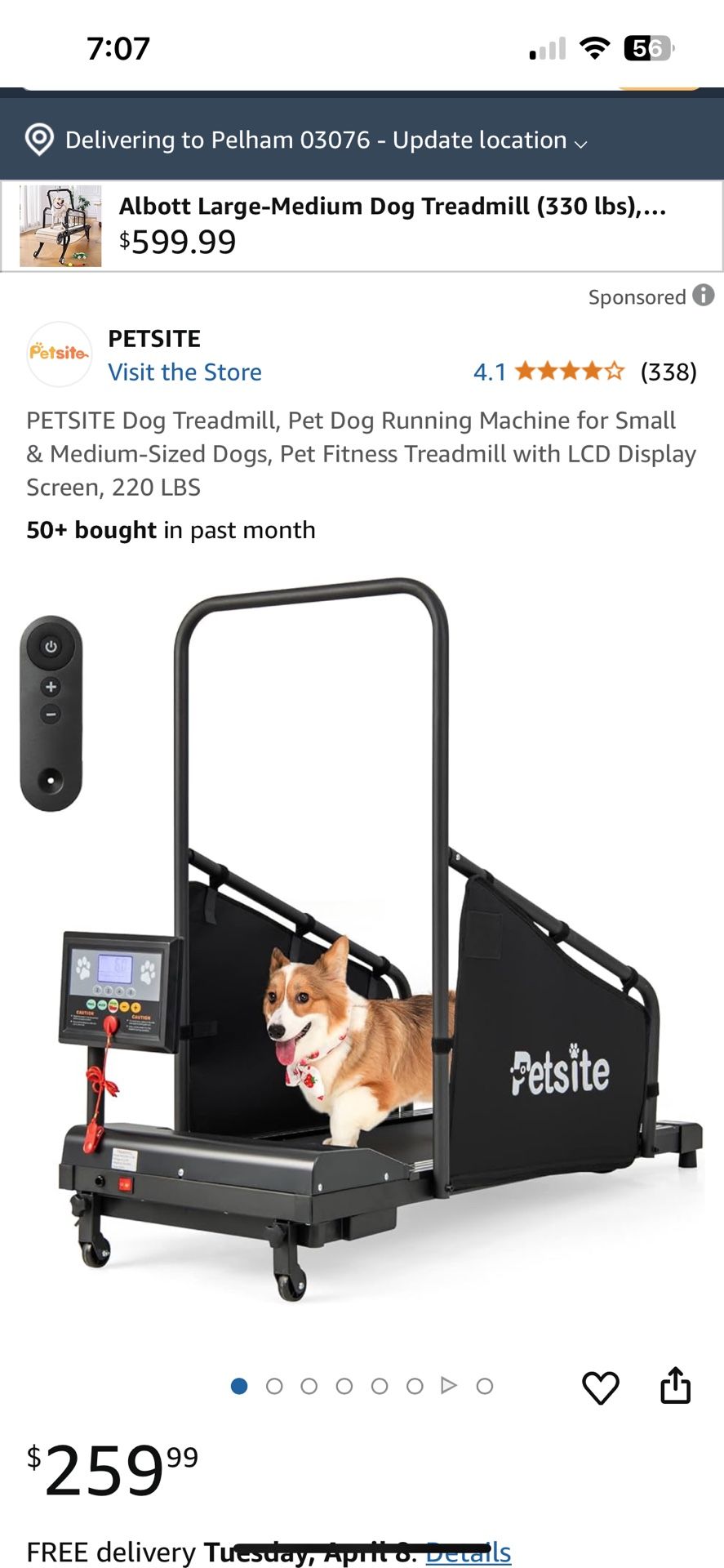 Petite Dog Treadmill : Excellent Condition