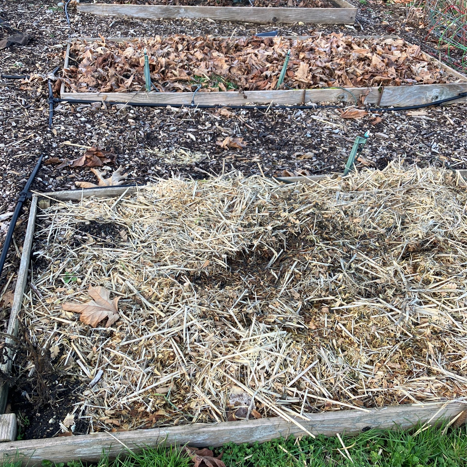 Goat Bedding, Manure, Garden, Compost, We Can Load for Sale in Snohomish, WA OfferUp