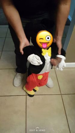 Mickey Mouse costume