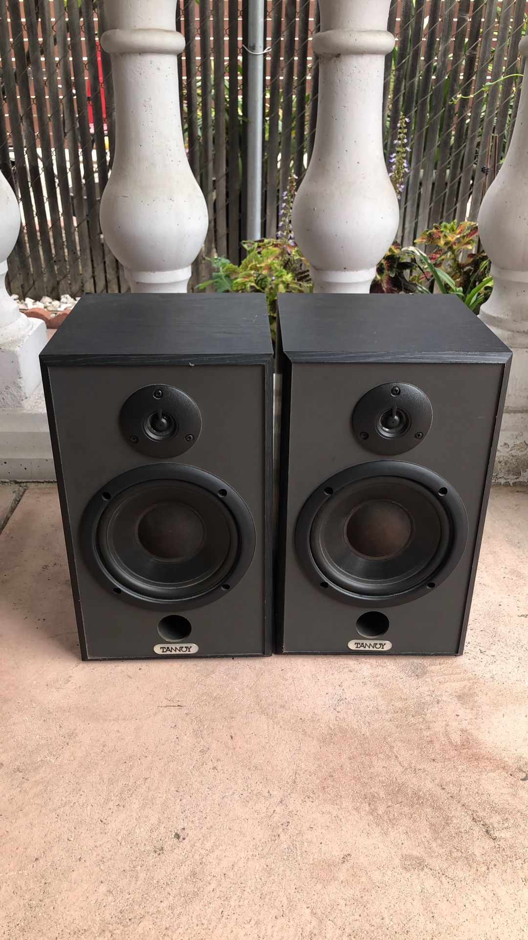 Tanny Bookshelf Studio Speakers.