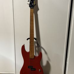 Bass Guitar  Fretless 