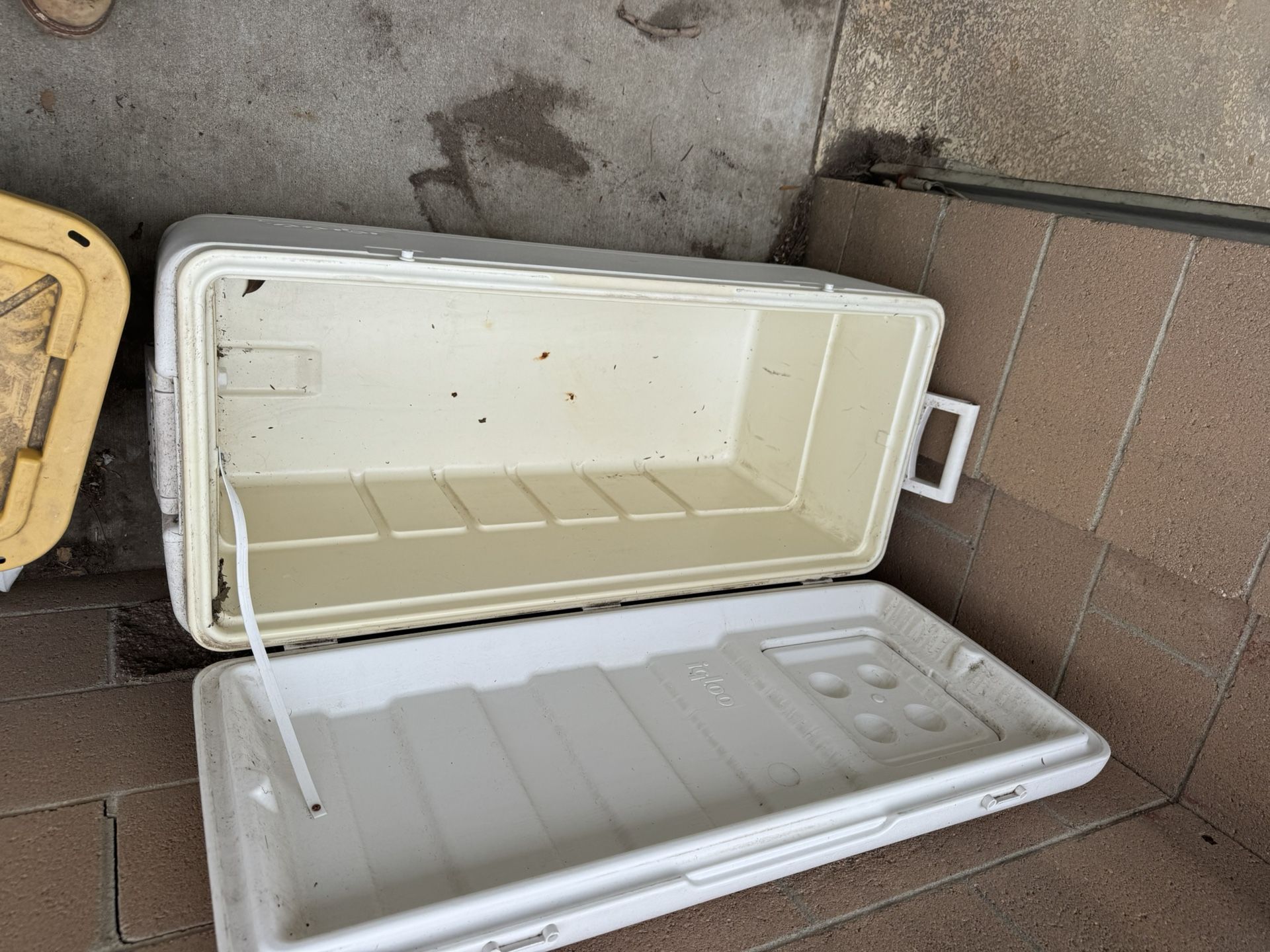 Free Large Ice chest 