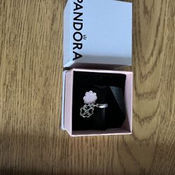 Pandora Friend Charm