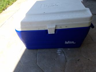 Igloo cooler