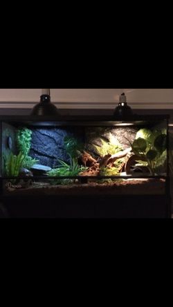 36x18x18 Thrive Front Opening Savannah Monitor Enclosure/ Terrarium