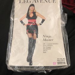 Ninja Master Costume