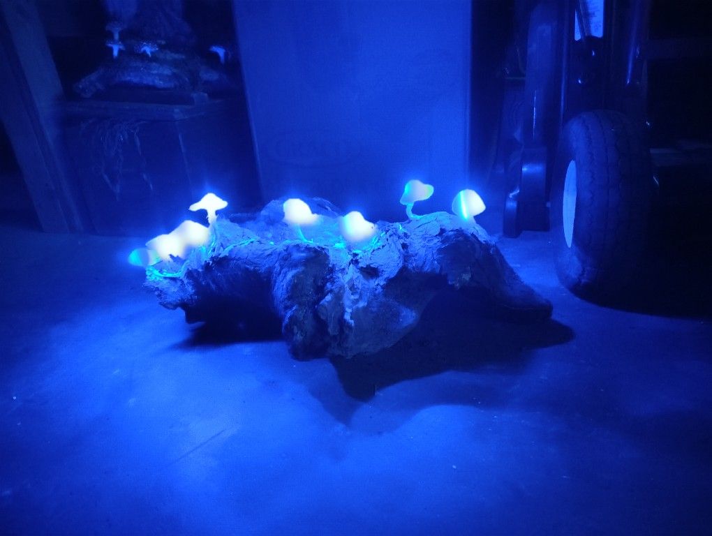 Blue LED Mushroom Light